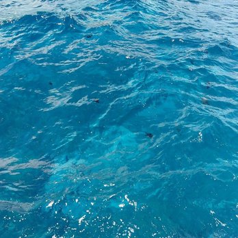 Calypso Charters - Gorgeous blue water you can see straight through to the bottom. - Snorkeling Near Me - Wailuku, Hawaii