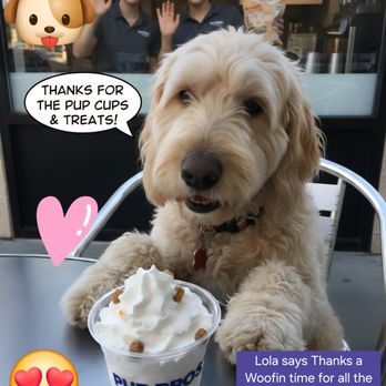 Dutch Bros Coffee - Coffee & Tea Near Me - West Linn, Oregon