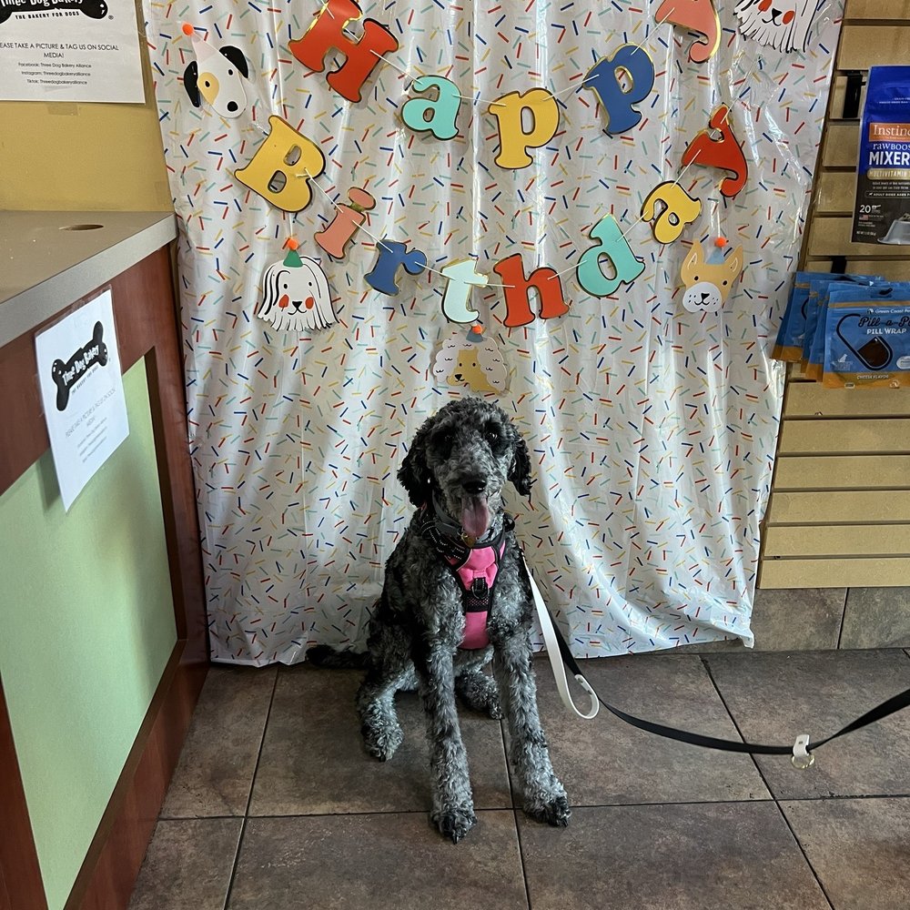 Three Dog Bakery - Pet Stores Near Me - Fort Worth, Texas Three Dog Bakery - Pet Stores Near Me - Fort Worth, Texas