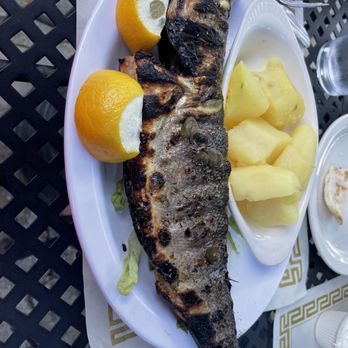 Aegean Breeze Restaurant - Grilled whole fish - Mediterranean Near Me - Great Barrington, Massachusetts Aegean Breeze Restaurant - Grilled whole fish - Mediterranean Near Me - Great Barrington, Massachusetts