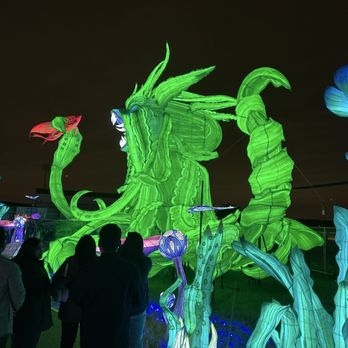 Tianyu Lights Featival - Festivals Near Me - Grand Prairie, Texas Tianyu Lights Featival - Festivals Near Me - Grand Prairie, Texas