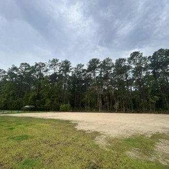 Elite Project Management - Tree Services Near Me Elite Project Management - Tree Services Near Me