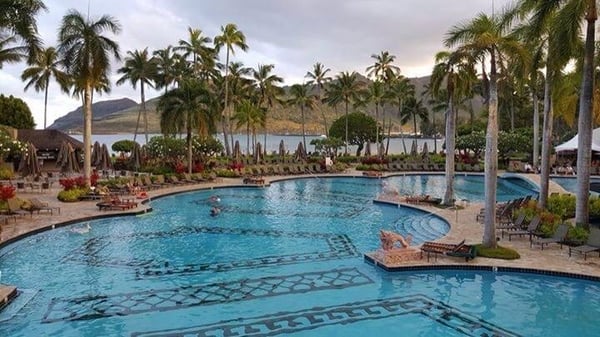 Hawaii Alive Luau Show by null