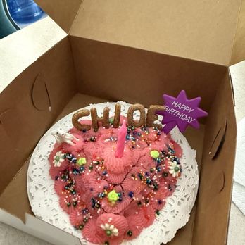 PJ's Pet Cafe - Cake - Pet Stores Near Me - Long Beach, California