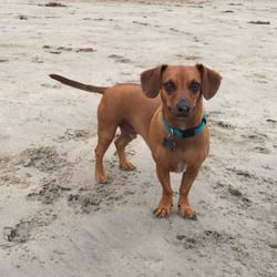 Come by and see Bugsy, the office mascot.