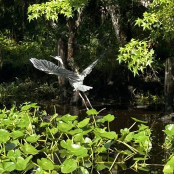 Sea Serpent Tour - Boat Tours Near Me - Saint Augustine, Florida Sea Serpent Tour - Boat Tours Near Me - Saint Augustine, Florida