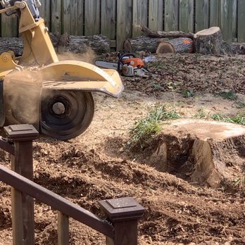 Eben Gray's Tree Service - Tree Services Near Me - Appling, Georgia