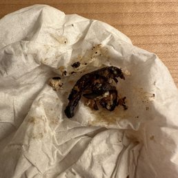 Oh my Gawd! I don't even know. A cockroach maybe?!!! This place needs a heath dept visit. Disappointed and disgusted.