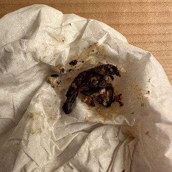 Chick-fil-A - Oh my Gawd! I don't even know. A cockroach maybe?!!! This place needs a heath dept visit. Disappointed and disgusted. - Fast Food Near Me - Mesa, Arizona