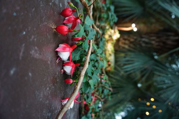 Gardens by the Bay by null