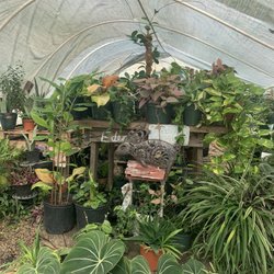 Eden on earth
