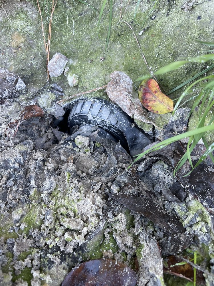 BVD Septic - septic in Jacksonville, FL