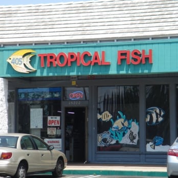 405 Tropical Fish - Local Fish Stores Near Me - Westminster, California