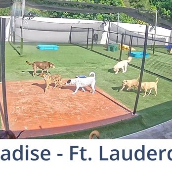 Pet Paradise Ft. Lauderdale - Mos first time out - Pet Groomers Near Me - Davie, Florida