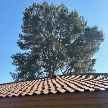 PV Trimmers - Tree Services Near Me - Phoenix, Arizona PV Trimmers - Tree Services Near Me - Phoenix, Arizona