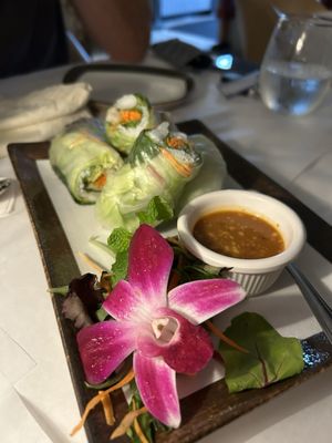 Thai Opal by null