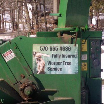Worper Tree Service - Tree Services Near Me