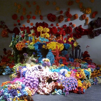 RiAus - Museums Near Me - Adelaide, SA