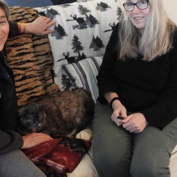 Lisa Hoberg, DVM - Doing acupuncture with the cat between me and my client (pre-Covid of course - now we wear masks!) - Veterinarians Near Me Lisa Hoberg, DVM - Doing acupuncture with the cat between me and my client (pre-Covid of course - now we wear masks!) - Veterinarians Near Me