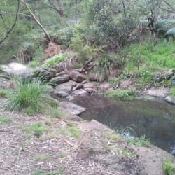 Damper Creek Reserve