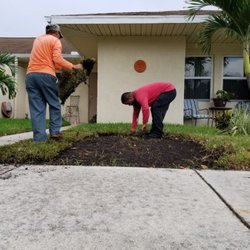 DLG Landscaping Rescue