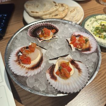 Pinyon - Scallops - Mediterranean Near Me - Scottsdale, Arizona