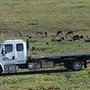 Photo of Joe's Towing & Recovery