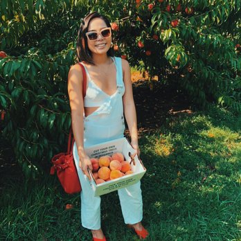 Linvilla Orchards - peach picking - Farmers Market Near Me - Media, Pennsylvania
