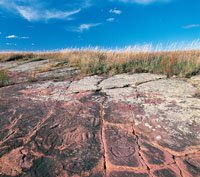 Jeffers Petroglyphs by null