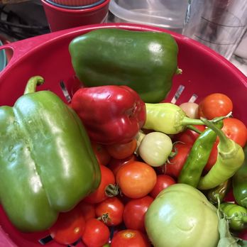 Ted's Greenhouse - Peppers tomatoes - Nurseries & Gardening Near Me - Tinley Park, Illinois