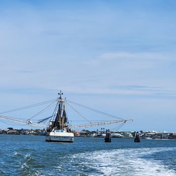 Gone2Sea Boat Rentals - Boat Charters Near Me - St. Augustine, Florida
