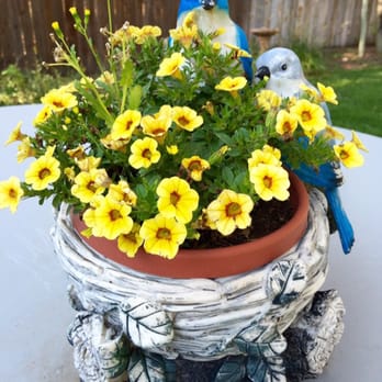 Alpenhorn Bed & Breakfast - Lovebirds of all kinds are welcome! - Big Bear Lake, CA