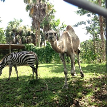 Everglades Outpost - Zoos Near Me - Homestead, Florida