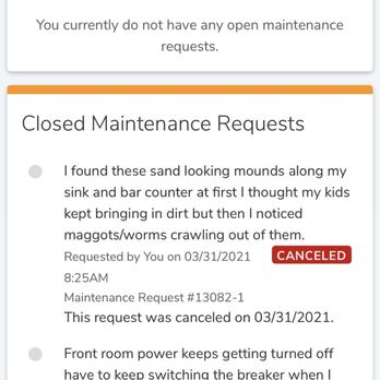Metroplex Management Company - Management request for termites canceled - Property Management Near Me - Fort Worth, Texas Metroplex Management Company - Management request for termites canceled - Property Management Near Me - Fort Worth, Texas