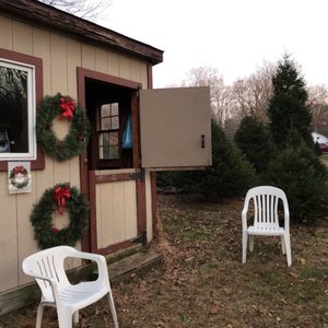 Palmer christmas tree farm