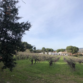 Cavas Codorniu - Beer, Wine & Spirits Near Me - Sant Sadurni d'Anoia, B
