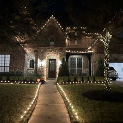 Diaz Nature Gnomes - Christmas Light Installation & Removal
