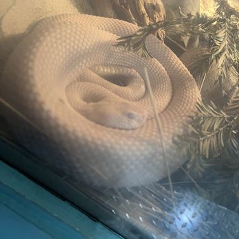 Lindsay Wildlife Experience - Museums Near Me - Walnut Creek, California Lindsay Wildlife Experience - Museums Near Me - Walnut Creek, California