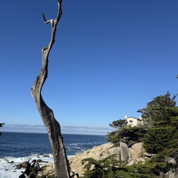17-Mile Drive Scenic Tour - Local Flavor Near Me 17-Mile Drive Scenic Tour - Local Flavor Near Me