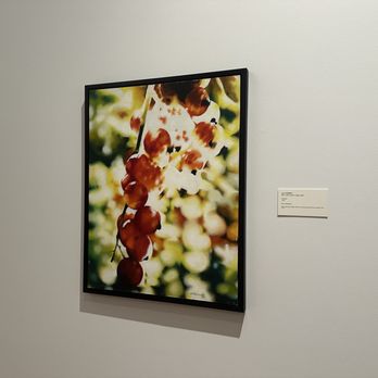 Zimmerli Art Museum - Zimmerli Art Museum -- looks like photography but it's a painting - Art Museums Near Me - New Brunswick, New Jersey Zimmerli Art Museum - Zimmerli Art Museum -- looks like photography but it's a painting - Art Museums Near Me - New Brunswick, New Jersey