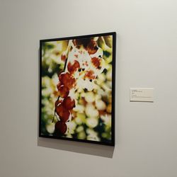 Zimmerli Art Museum - Zimmerli Art Museum -- looks like photography but it's a painting