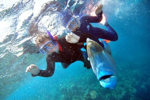 Great Barrier Reef by null