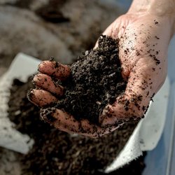 Leaf & Limb - Rich, healthy soil