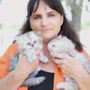 Photo of ItsRainingMins MINUETS Munchkin Persians