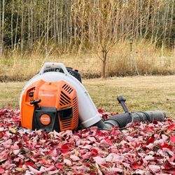 Whatcom Tree Service
