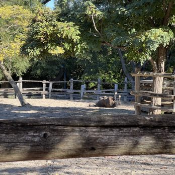 Riverdale Farm - Horse - Zoos Near Me - Toronto, Ontario Riverdale Farm - Horse - Zoos Near Me - Toronto, Ontario
