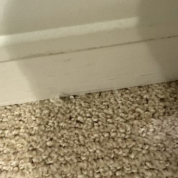50Floor - Flooring Near Me - Garner, North Carolina 50Floor - Flooring Near Me - Garner, North Carolina