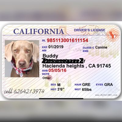 Amar Glen Veterinary Hospital 712 Glendora Ave La Puente Ca Veterinarians Mapquest