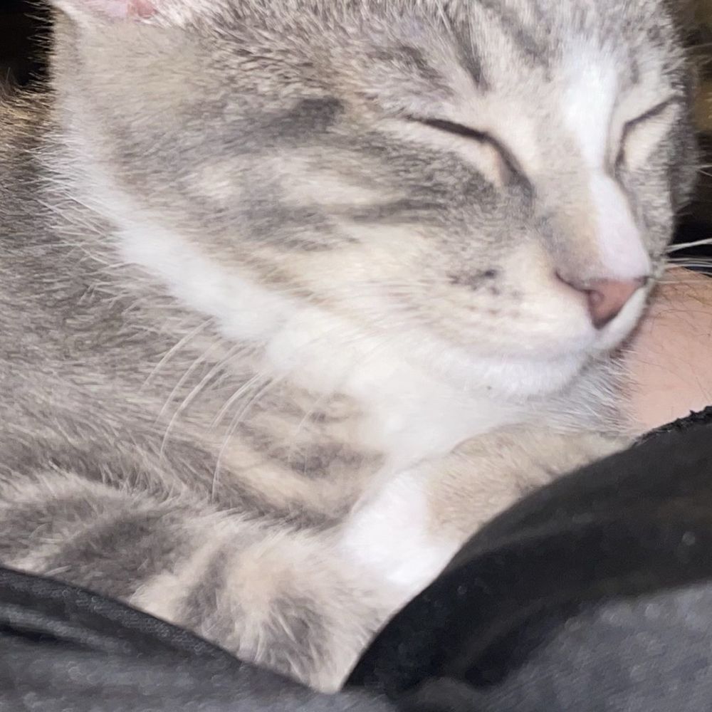 Eli (Theodore)