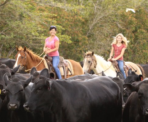 Princeville Ranch by null